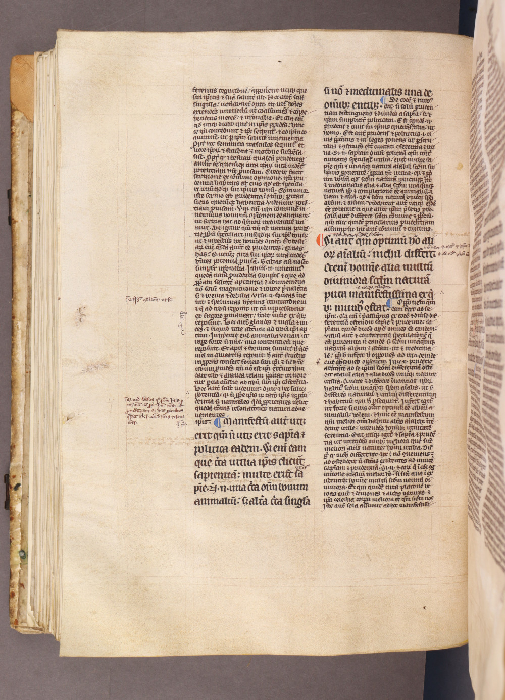 Folio 131 verso